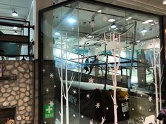 -SNOWGATE滑雪·华雪梦(老西门店)