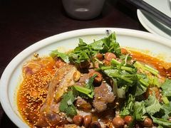 -陈麻婆豆腐总店