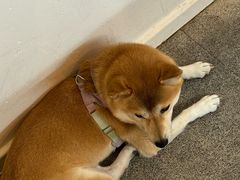 -三目仓咖啡(贤南路店)