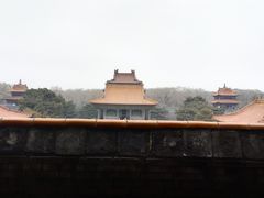-北陵公园