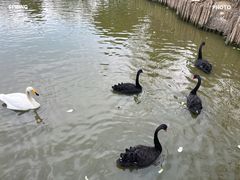 -无锡动物园·太湖欢乐园
