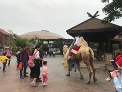 -灵玲国际马戏城