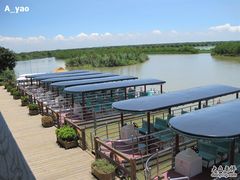 -大湾区中央湿地公园