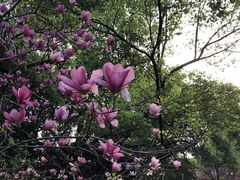 -乌山风景区