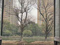 -阮氏酒家(柯桥店)