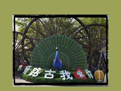-呀路古热带植物园
