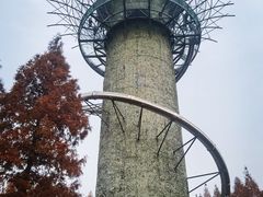 -黄海国家森林公园