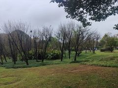 -贵阳市花溪国家城市湿地公园