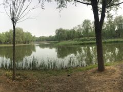 -东郊湿地公园