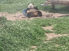 -西安秦岭野生动物园