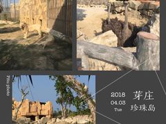 动物园-芽庄珍珠岛游乐园