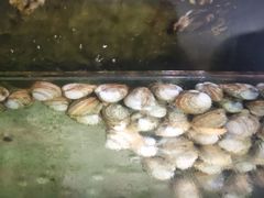 -蓝珊甄选海鲜自助·火锅大排档(近阿那亚店)