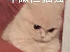 -海都六福酒家(世博广场店)