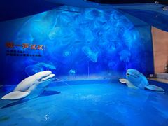 -泉城欧乐堡海洋极地世界