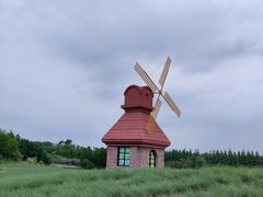 -杭州湾海上花田景区