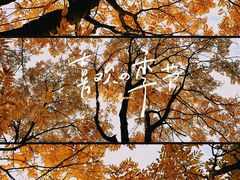 -江西龙虎山景区