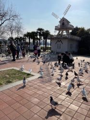 -玄武湖景区-情侣园游乐场