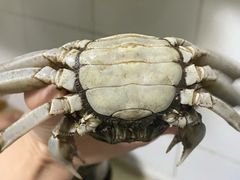 -嗨辣小聚·盘锦河蟹·海鲜烧烤龙虾(盘锦十年好店)