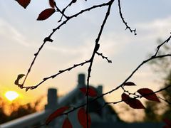 -八大山人梅湖景区