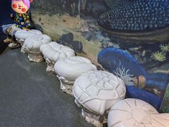 -天津自然博物馆