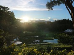 -四季酒店下午茶