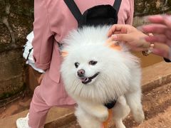 -长虫山生态公园风景林