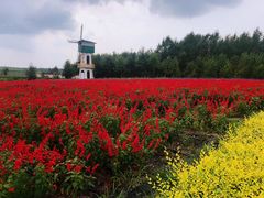 -北纬44度·金珠花海休闲农业旅游景区
