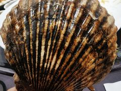 -海鲜e族(马王堆店)