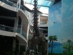 -辽宁古生物博物馆