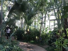 -国家植物园南园