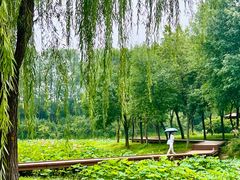 -东郊湿地公园