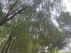 -汉江湾体育公园