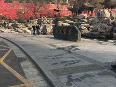 -西安曲江寒窑遗址公园