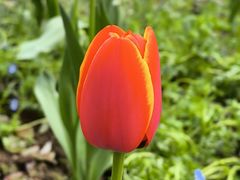 -浙江大学(玉泉校区)