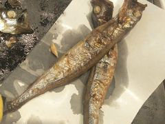 -新一番三文鱼寿司(红城湖店)