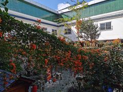 -学成饭店(北辰店)