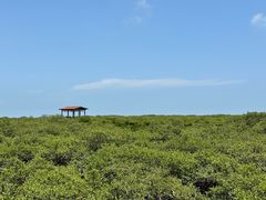 -北海金海湾红树林生态旅游区