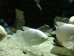 -台州海洋世界