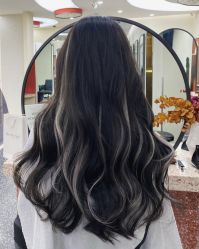 -IP SALON