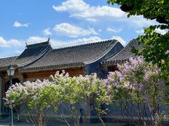 -三里河公园