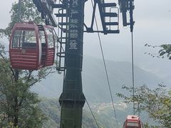 -王顺山国家森林公园