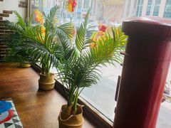 -嘉喜来比萨(罗马花园店)