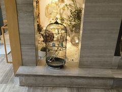 -云中漫步·足疗养生会馆(金开店)