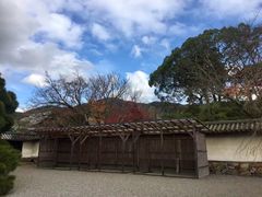 -醍醐寺
