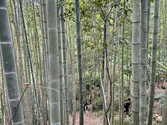 -十九峰景区