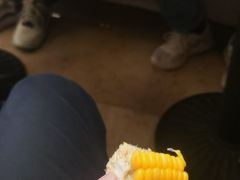 -锦粤宫·精致粤菜(深圳北站店)