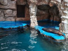 -华夏文旅海洋公园