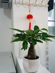-美悦妈妈产后修复中心