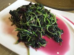 蒜香苋菜-鸿运酒楼