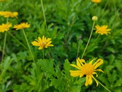 -仙海旅游度假区